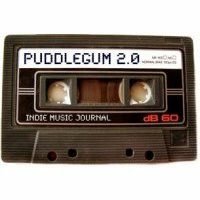 About Puddlegum