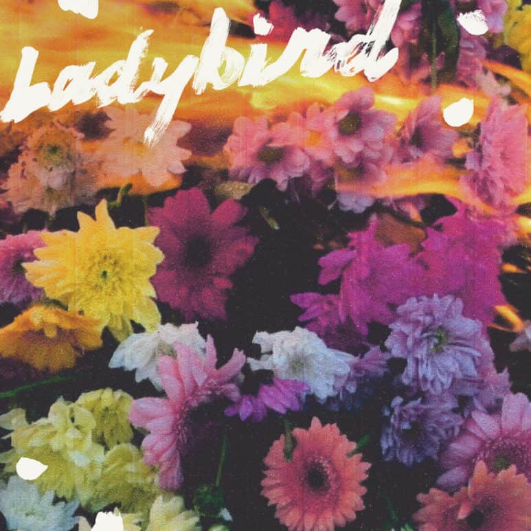 NewDad - Ladybird single cover