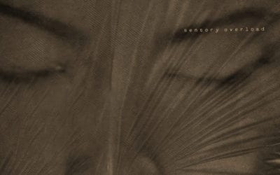 Midi Memory debuts with ‘Sensory Overload’ LP